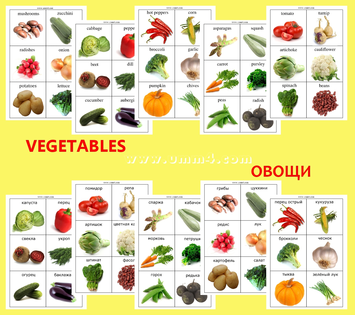 Овощи список. Овощи названия. Название фруктов и овощей для детей. Овощи названия по алфавиту. Обучающие карточки для детей овощи.