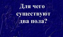 Эволюционная теория пола Вигена Геодакяна